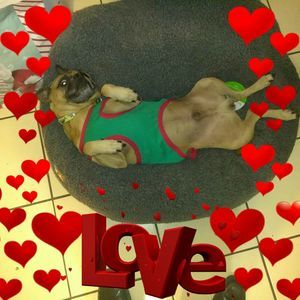 Meet your Posher, Alberto